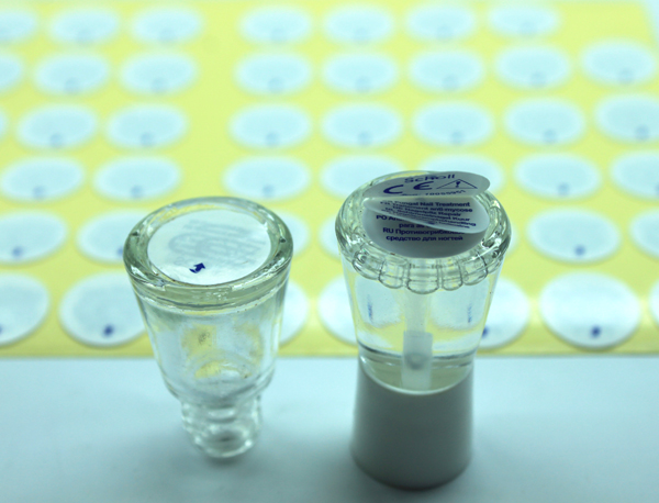 ������ֽ